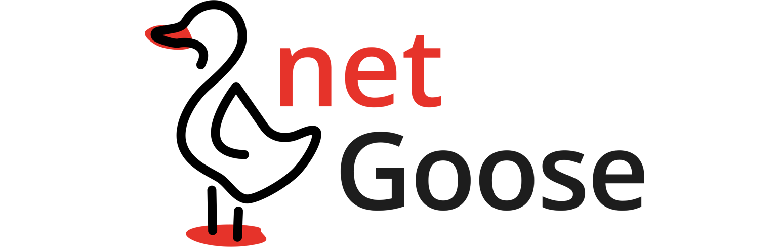 netGoose IT Service Logo